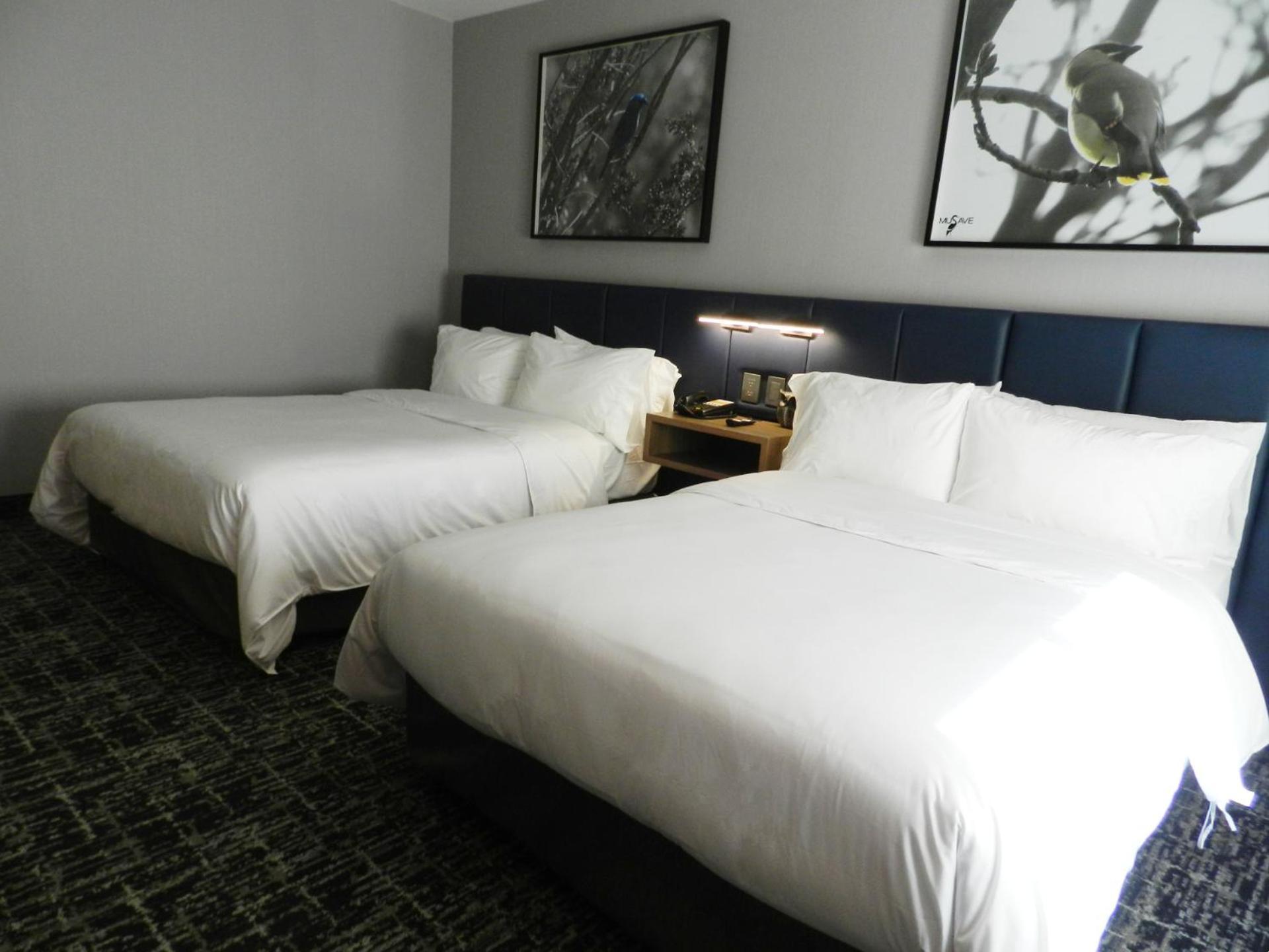 Voco Saltillo Suites By Ihg Ngoại thất bức ảnh