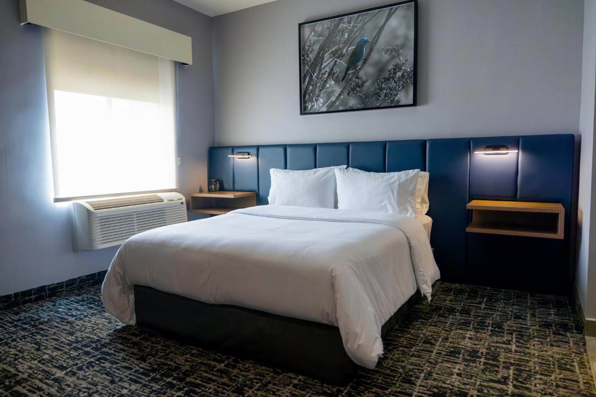 Voco Saltillo Suites By Ihg Ngoại thất bức ảnh