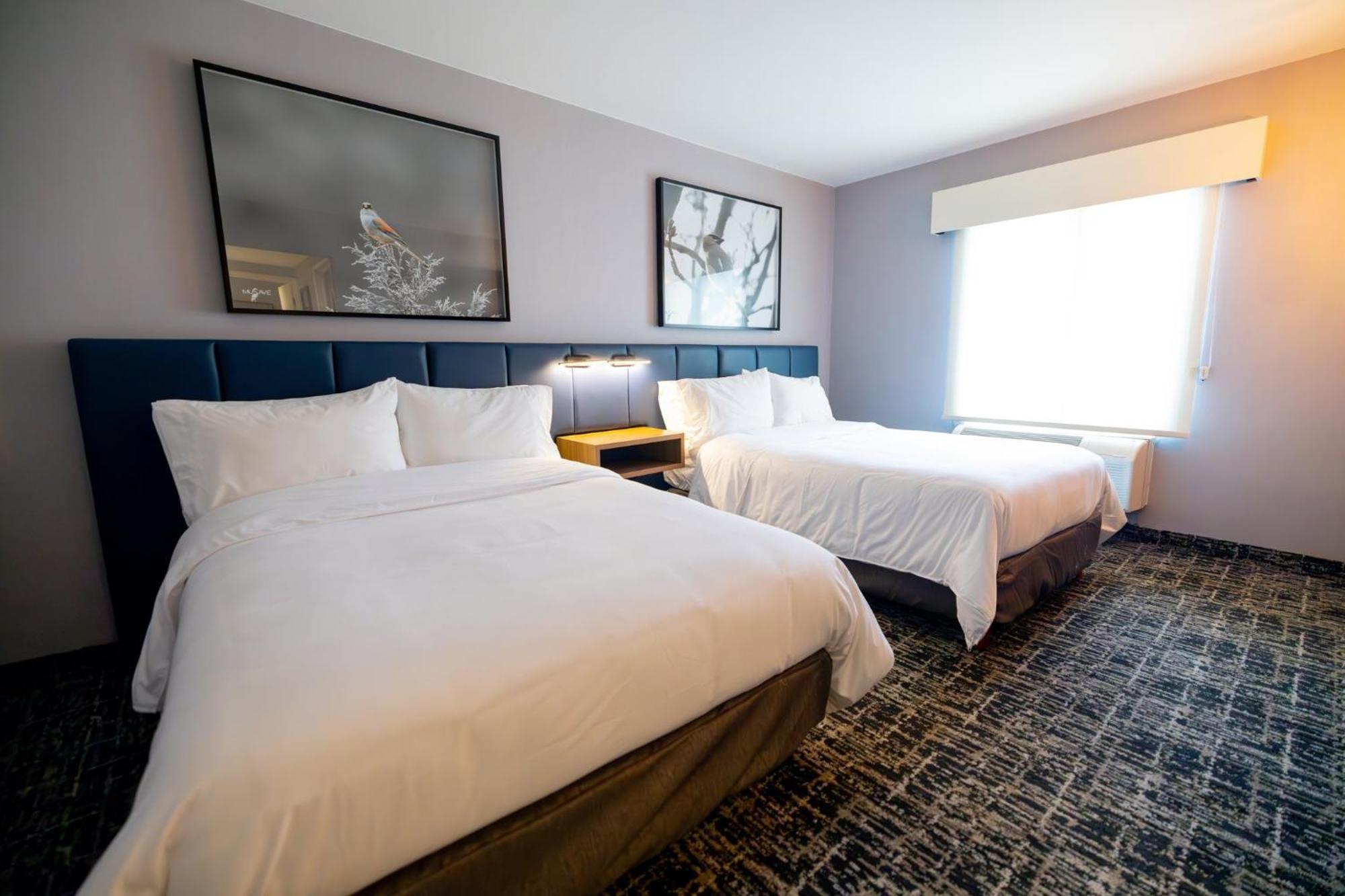 Voco Saltillo Suites By Ihg Ngoại thất bức ảnh